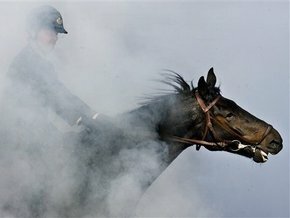 На людях опробуют методику восстановления сухожилий, применяемую для лошадей