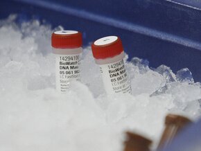   ,     H1N1   